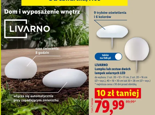 Lampka solarna LED lub zestaw dwóch lampek solarnych LED Livarno promocja w Lidl