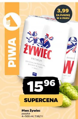 Piwo Żywiec promocja w Netto