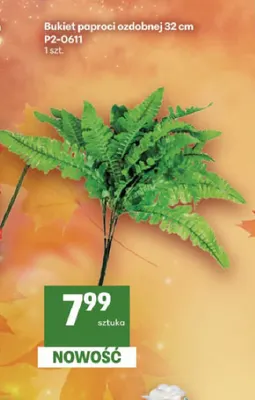 Bukiet paproci ozdobnej 32 cm promocja w Delikatesy Centrum