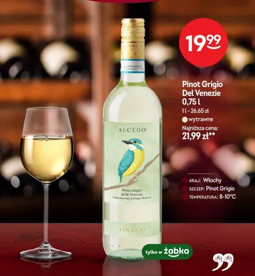 Wino Pinot Grigio Del Venezie wytrawne promocja w Żabka