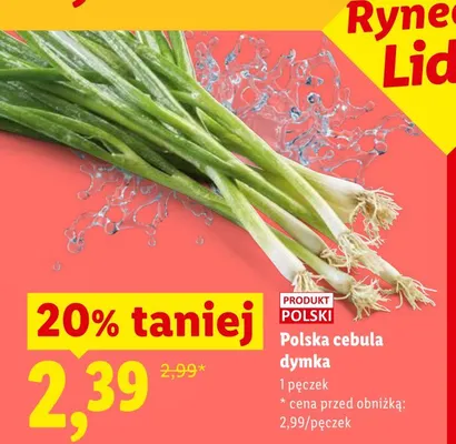 Cebula dymka polska promocja w Lidl