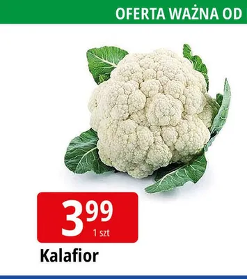 Kalafior promocja w Leclerc
