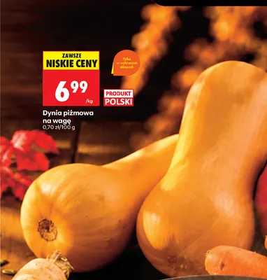 Dynia piżmowa promocja w Biedronka