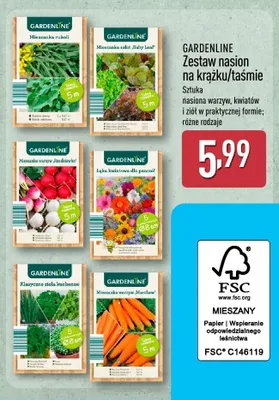 Zestaw nasion na krążku/taśmie promocja w Aldi