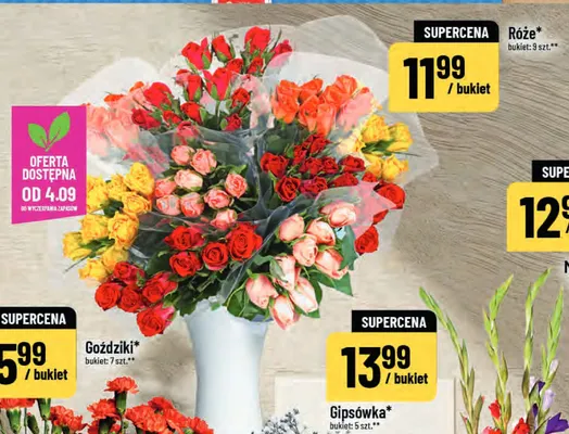 Róże promocja w POLOmarket