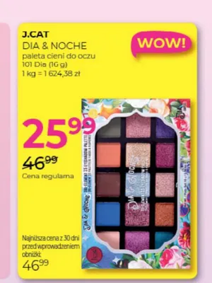 Paleta cieni do oczu J.Cat Dia & Noche 101 Dia promocja w Drogerie Jawa