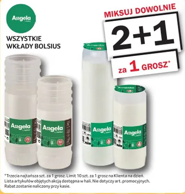 Wkłady ręczniki papierowe Angela Bolsius promocja w Selgros