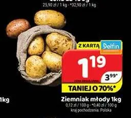 Ziemniak młody promocja w Delfin