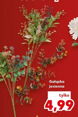 Gałązka jesienna promocja w Kaufland