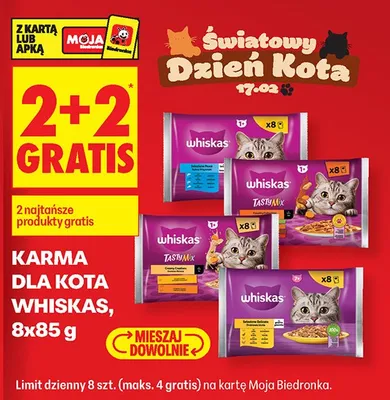 Karma dla kota promocja w Biedronka