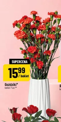 Goździki promocja w POLOmarket