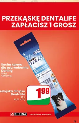 Przekąska dla psa Dentalife promocja w Dino