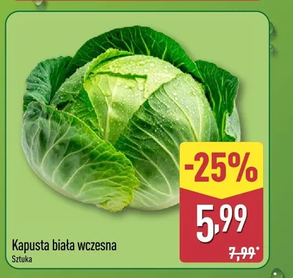 Kapusta biała wczesna promocja w Aldi