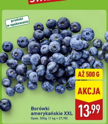 Borówki amerykańskie XXL 500 g promocja w Aldi