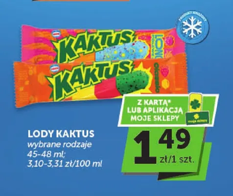 Lody Kaktus promocja w Groszek