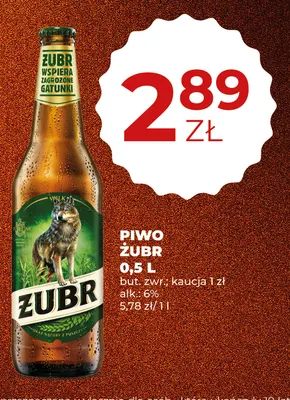 Piwo Żubr promocja w Duży Ben