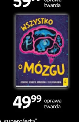 Książka Wszystko o mózgu Wilga oprawa twarda promocja w Empik