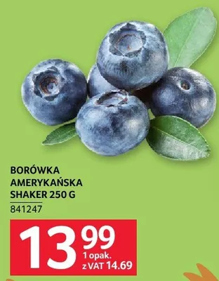 Borówka amerykańska Shaker 250 g promocja w Selgros