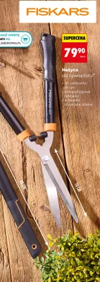 Nożyce do żywopłotu promocja w Biedronka