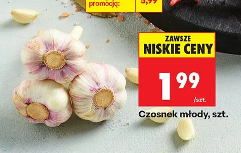 Czosnek młody promocja w Biedronka