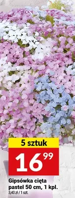 Gipsówka cięta pastel 5 sztuk promocja w Twój Market