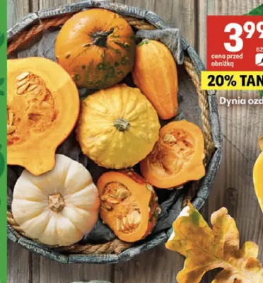 Dynia ozdobna promocja w Delikatesy Centrum