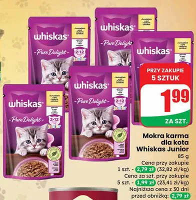 Mokra karma dla kota Junior promocja w Dino