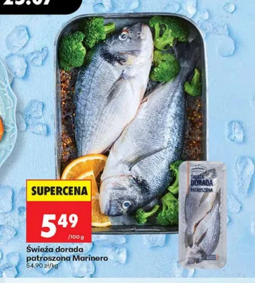 Świeża dorada patroszona Marinero promocja w Biedronka