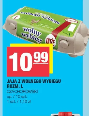 Jajka kurze z wolnego wybiegu rozm. L Czachorowski promocja w SPAR