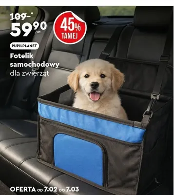 Fotelik samochodowy dla zwierząt promocja w Biedronka Home