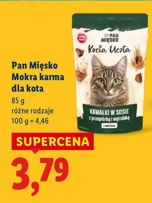 Karma mokra dla kota różne rodzaje promocja w Lidl