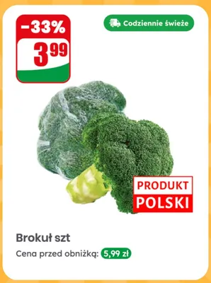 Brokuł polski promocja w Dino