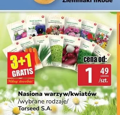 Nasiona warzyw/kwiatów Torseed S.A. promocja w API Market