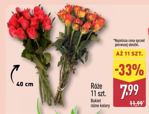 Róże bukiet różne kolory 11 szt. promocja w Aldi