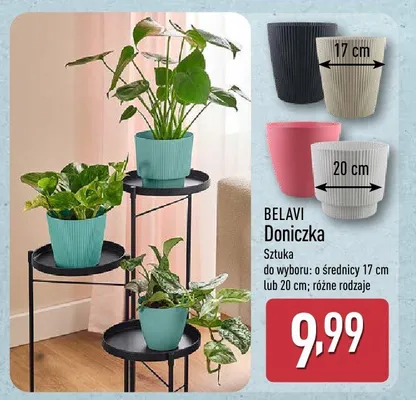 Doniczka do wyboru: o średnicy 17 cm lub 20 cm promocja w Aldi
