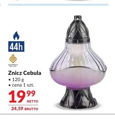 Znicz Cebula Sadowscy promocja w Makro