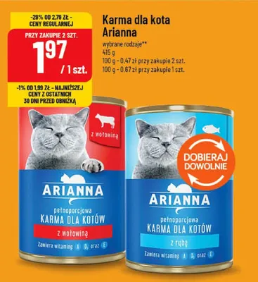 Karma dla kota Arianna z rybą promocja w POLOmarket