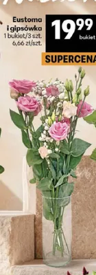 Eustoma i gipsówka promocja w Delikatesy Centrum