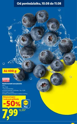 Borówki amerykańskie polskie promocja w Lidl