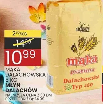 Mąka dalachowska typ 650 promocja w Wafelek