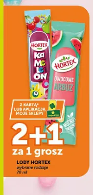 Lody HORTEX Owocowe Arbuz promocja w ABC