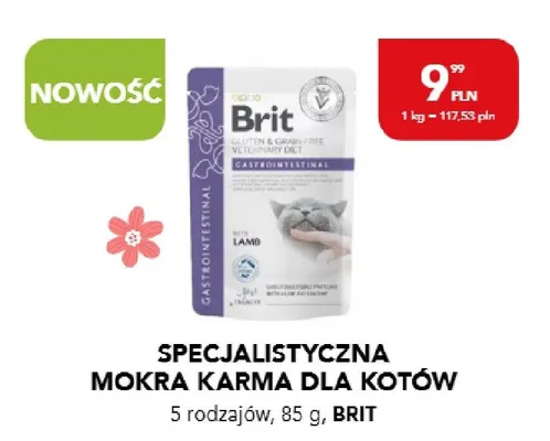Specjalistyczna mokra karma dla kotów promocja w Aquael zoo