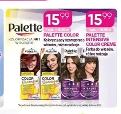 Koloryzujący szampon do włosów Palette Color promocja w Drogerie Koliber