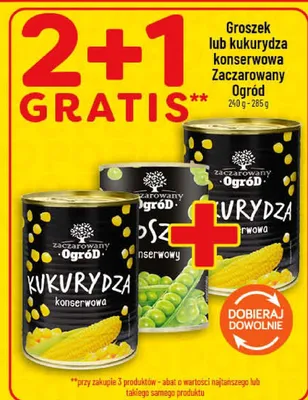 Groszek konserwowy Zaczarowany Ogród promocja w POLOmarket