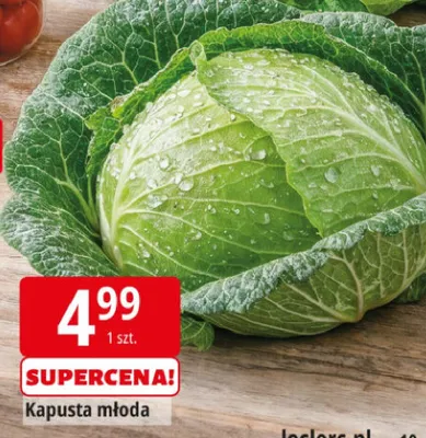 Kapusta młoda promocja w Leclerc
