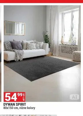 Dywan Spirit 80x150 cm promocja w Merkury Market