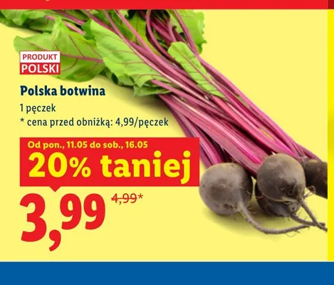Botwina polska promocja w Lidl