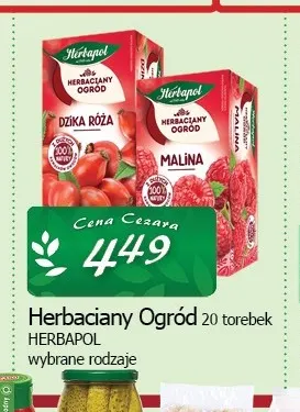 Herbata Herbaciany Ogród Herbapol promocja w CEZAR Delikatesy