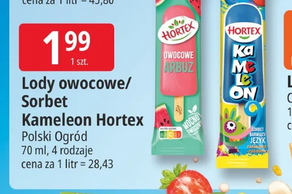 Lody owocowe/Sorbet Kameleon Hortex promocja w Leclerc