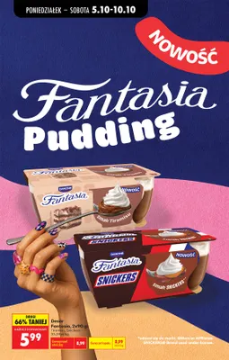 Deser Fantasia Tiramisu 2-pak Danone promocja w Biedronka